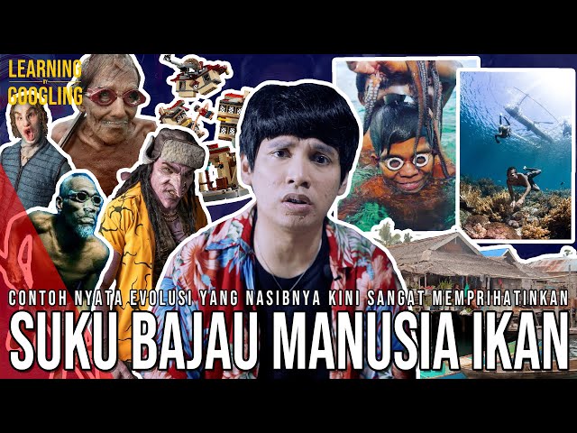 apa itu suku bajau si manusia ikan